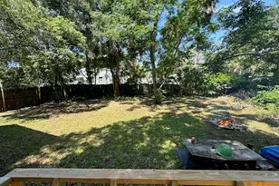 1225 E 1st Ave, Mount Dora, FL 32757 - Photo 11