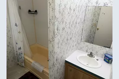 26 Canal Way, Lake Panasoffkee, FL 33538 - Photo 57