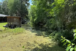 26 Canal Way, Lake Panasoffkee, FL 33538 - Photo 63