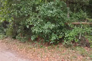 146th Pl, Fort Mc Coy, FL 32134 - Photo 1