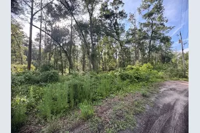 Sw 58th Street, Webster, FL 33597 - Photo 9
