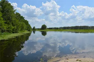 14186 NE 199th Pl, Fort Mc Coy, FL 32134 - Photo 43