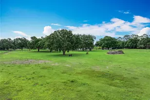 17670 SE 283rd Ave, Umatilla, FL 32784 - Photo 41