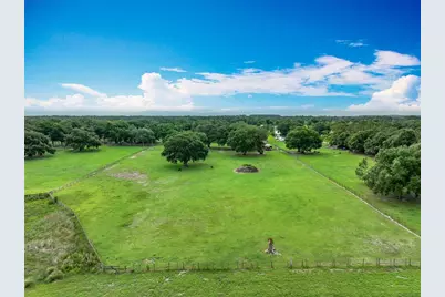 17670 SE 283rd Avenue, Umatilla, FL 32784 - Photo 5