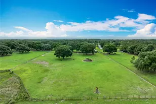 17670 SE 283rd Ave, Umatilla, FL 32784 - Photo 5