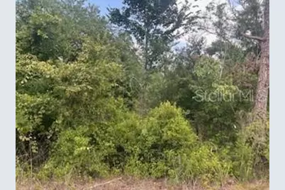 Hardstone Drive, Webster, FL 33597 - Photo 5