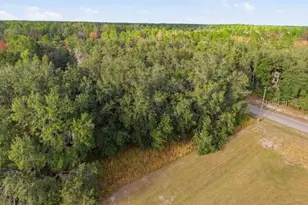 Lot 2 SW 146th Ln Rd, Ocala, FL 34473 - Photo 1