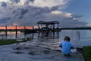 4634 Bigler Ln, Mount Dora, FL 32757 - Photo 85