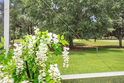 219 Carrera Drive, The Villages, FL 32159 - Photo 63