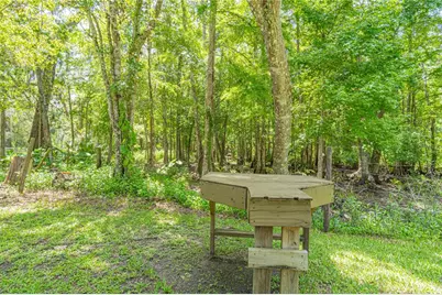 2634 Cr 416N, Lake Panasoffkee, FL 33538 - Photo 31