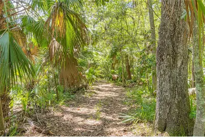 2634 Cr 416N, Lake Panasoffkee, FL 33538 - Photo 33