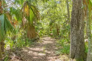 2634 Cr 416N, Lake Panasoffkee, FL 33538 - Photo 33