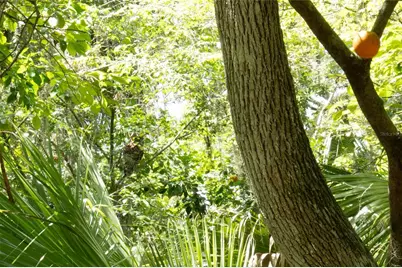 2634 Cr 416N, Lake Panasoffkee, FL 33538 - Photo 35