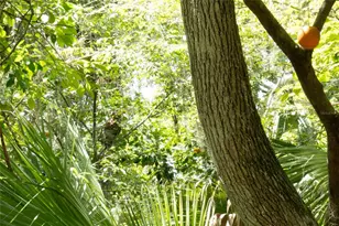 2634 Cr 416N, Lake Panasoffkee, FL 33538 - Photo 35