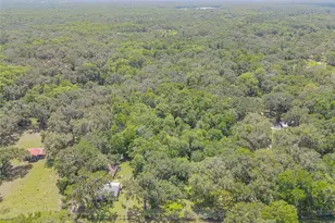 2634 Cr 416N, Lake Panasoffkee, FL 33538 - Photo 41