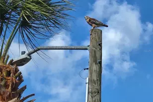 1108 Apple Terrace, Leesburg, FL 34748 - Photo 47