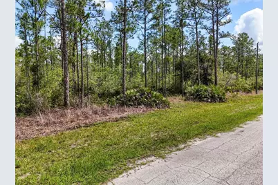 Lot 62 Meadow Lark Boulevard, Lake Wales, FL 33898 - Photo 1
