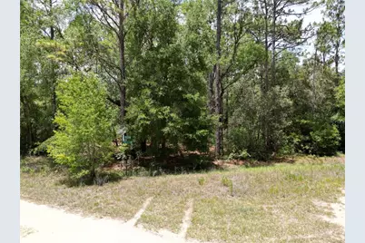 0000 SW 159th Ave Road, Ocala, FL 34481 - Photo 1