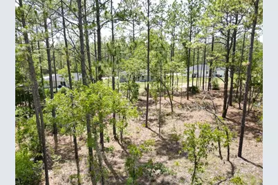 0000 SW 157th Avenue, Ocala, FL 34481 - Photo 3