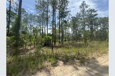 0000 SW 157th Avenue, Ocala, FL 34481 - Photo 1