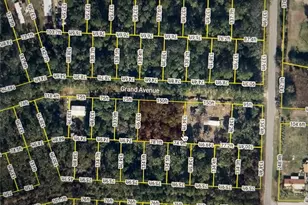 107 Grand Ave, Crescent City, FL 32112 - Photo 1