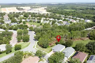 101 Flame Vine Way, Groveland, FL 34736 - Photo 63