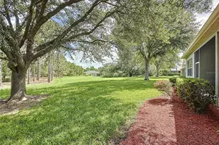 101 Flame Vine Way, Groveland, FL 34736 - Photo 49