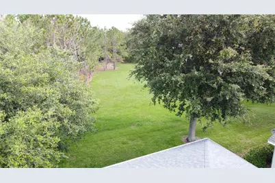 101 Flame Vine Way, Groveland, FL 34736 - Photo 61