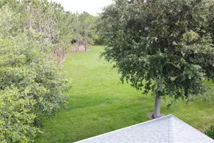 101 Flame Vine Way, Groveland, FL 34736 - Photo 61