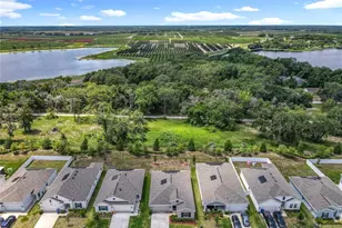 6946 Perch Hammock Loop, Groveland, FL 34736 - Photo 7