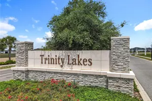 6946 Perch Hammock Loop, Groveland, FL 34736 - Photo 49