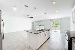 6946 Perch Hammock Loop, Groveland, FL 34736 - Photo 23