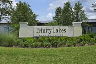 6946 Perch Hammock Loop, Groveland, FL 34736 - Photo 37