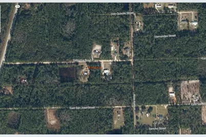 127 E Satsuma Street, Palatka, FL 32177 - Photo 5