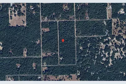 118 Banana Avenue, Pomona Park, FL 32181 - Photo 1