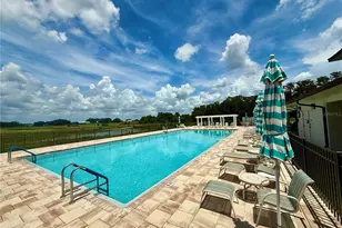 3607 Umbrella Tree Ln, Oxford, FL 34484 - Photo 33