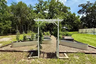 3607 Umbrella Tree Ln, Oxford, FL 34484 - Photo 49