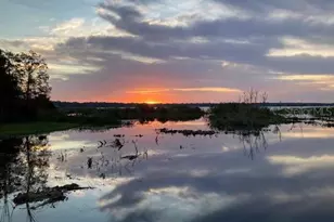 9233 Silver Lake Dr, Leesburg, FL 34788 - Photo 79