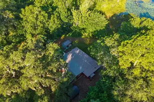 54544 Buckhorn Rd, Astor, FL 32102 - Photo 27