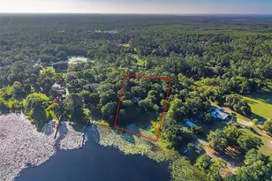 54544 Buckhorn Rd, Astor, FL 32102 - Photo 33