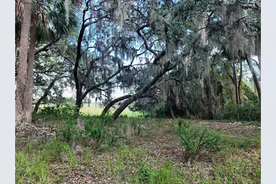 0 Lot 2 Catbrier Lane, Umatilla, FL 32784 - Photo 21