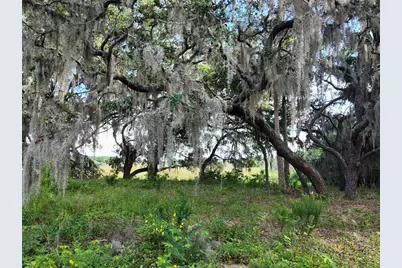 0 Lot 2 Catbrier Lane, Umatilla, FL 32784 - Photo 27