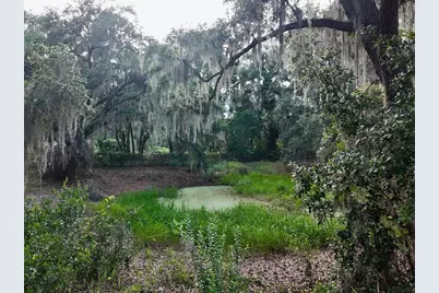 0 Lot 2 Catbrier Lane, Umatilla, FL 32784 - Photo 33