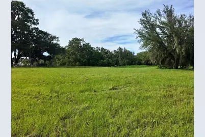 0 Lot 1 Catbrier Lane, Umatilla, FL 32784 - Photo 31