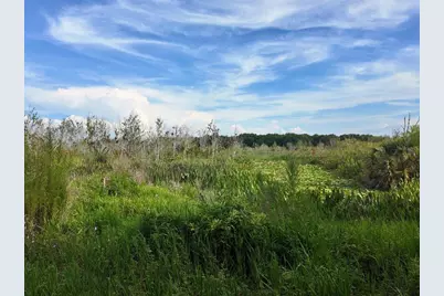 0 Lot 1 Catbrier Lane, Umatilla, FL 32784 - Photo 29