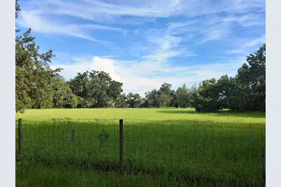 0 Lot 1 Catbrier Lane, Umatilla, FL 32784 - Photo 21