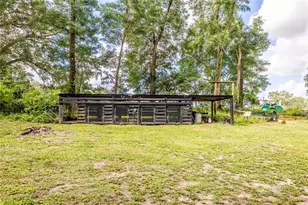 11341 NE 11th Way, Oxford, FL 34484 - Photo 27