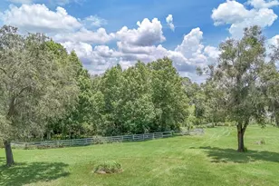 32025 Timberlake Dr, Mount Dora, FL 32757 - Photo 49