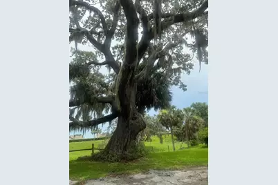 11522 Dead River Road, Tavares, FL 32778 - Photo 17