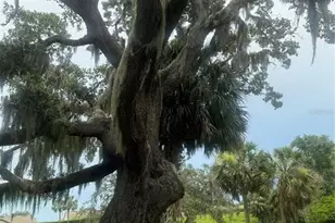 11522 Dead River Rd, Tavares, FL 32778 - Photo 17